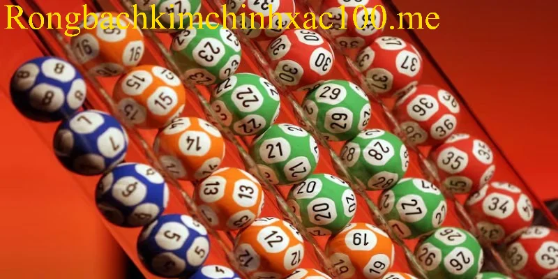 Hướng dẫn cách nuôi dàn 20 số đạt hiệu quả tối ưu