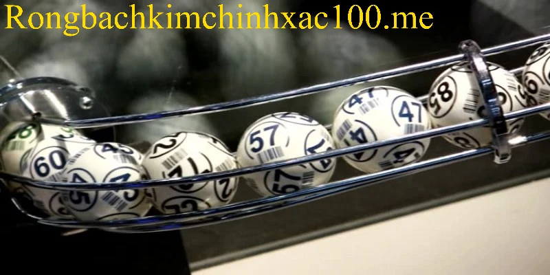 Kinh nghiệm nuôi dàn 36 số đề nuôi 3 ngày hiệu quả