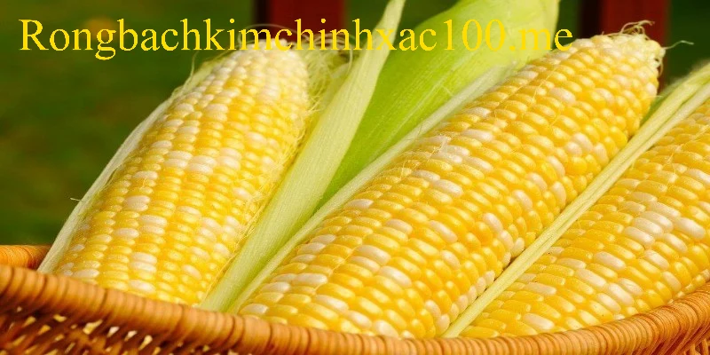 Điềm báo và số tài lộc khi nằm mộng thấy bắp ngô