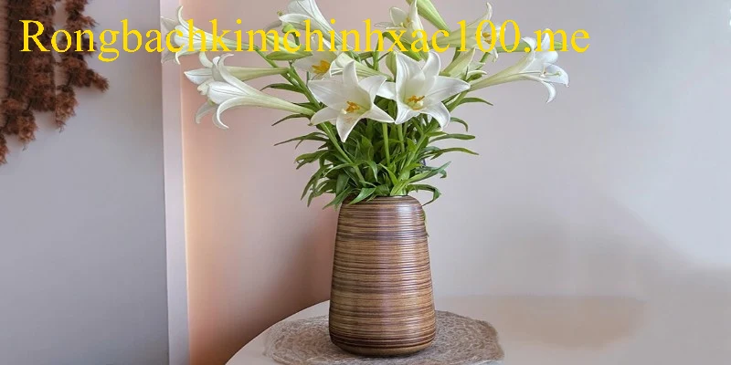 Luận giải điềm báo ẩn chứa đằng sau giấc mộng thấy cái bình